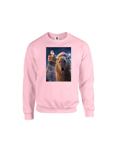 C367 santa capybara+Sweat Baby Pink.jpg