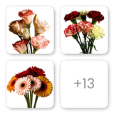 BB Icon+1 Decorative+Flowers NCR+and+PUN 1765618124.png