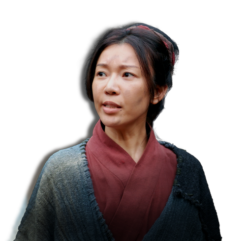 王寡妇.png