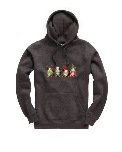 C471 Guinea Pig Christmas+CL018DHR.jpg