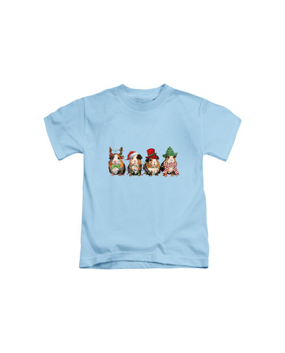 C471 Guinea Pig Christmas+Light blue.jpg
