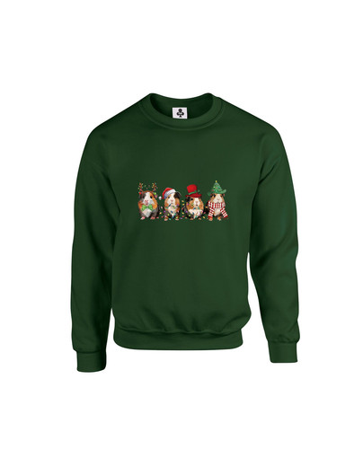 C471 Guinea Pig Christmas+Sweat Bottle Green.jpg
