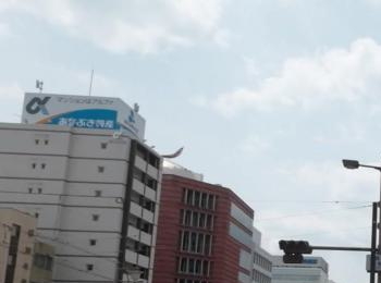left buildings.png