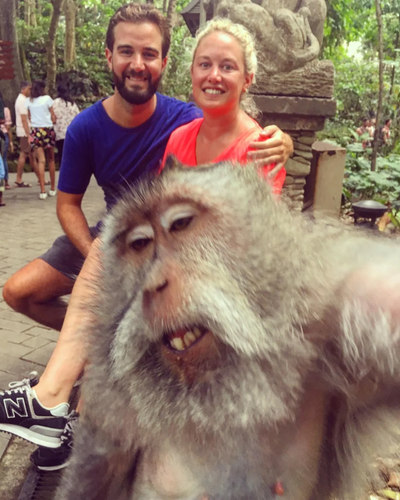 monkey selfie v0 agug4f7lv3p31.png