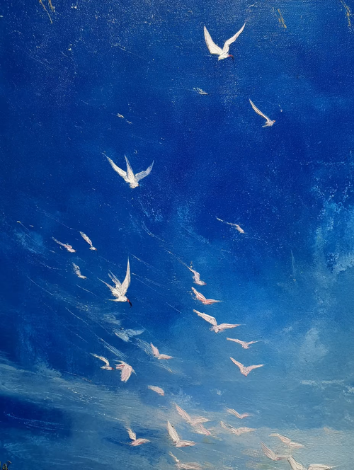 pic 20260508003141 0.png