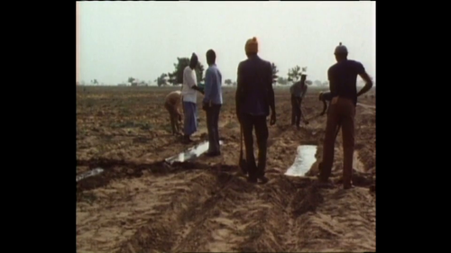 SoulsintheSun8.png