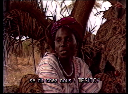 Tesito3.png