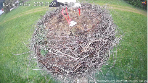 MWSnap141.jpg