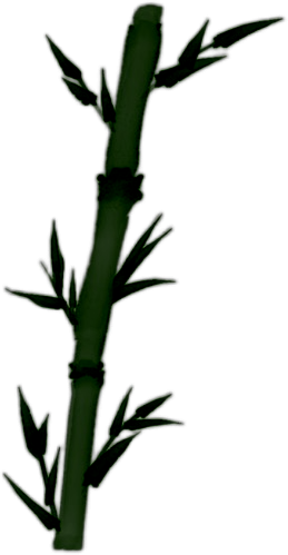 IMG 4601.png