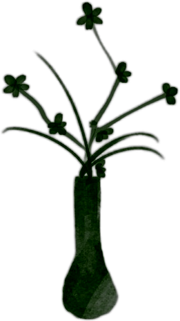 IMG 4604.png