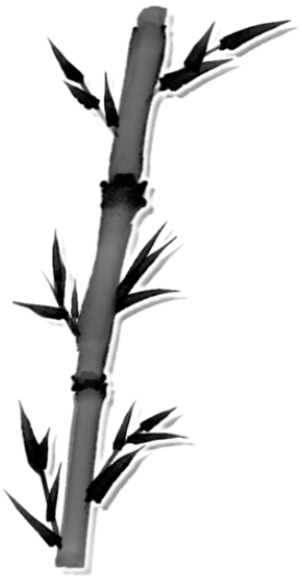 IMG 4607.png