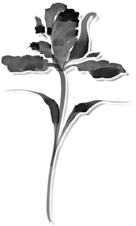 IMG 4605.png