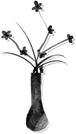 IMG 4606.png