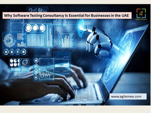 Why Software Testing Consultancy Is Essential for Businesses in the UAE.jpg