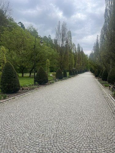 IMG 9022.jpg