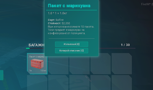 FiveM GTAProcess c92LGwmmNb.png