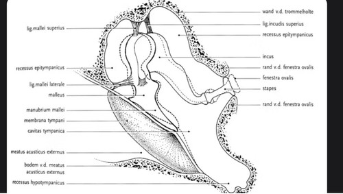 fd2c51e62167.jpg