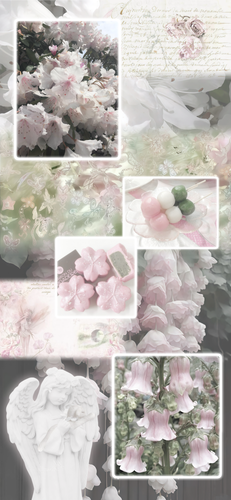Image 1777616697509 248.png