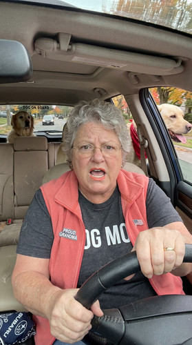 masc l30 white subaru two dogs up.jpg