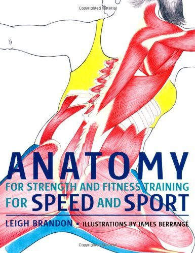 Anatomy for Strength and Fitness Training for Speed and Sport