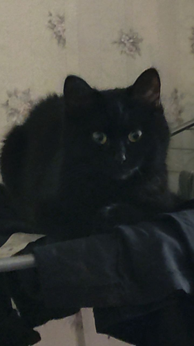 image 2026 05 09 174913578.png