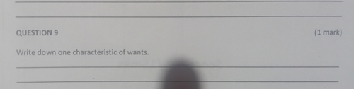 temp.png