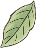 leaf.png