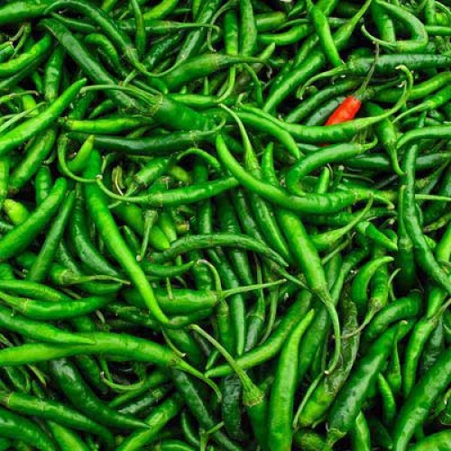 Green Chilli Indian 2.jpg