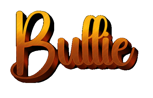 Bullie 5 8 2026.gif
