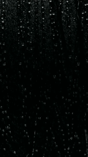 1000064624.gif