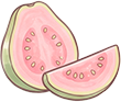 guava.png