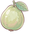 guava3.png