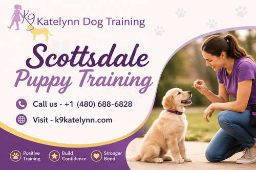 Scottsdale Puppy Training K9Katelynn Dog Training AZ.jpg