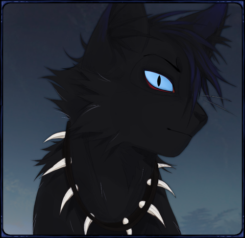 IMG 3413.png