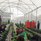 Galeri mempelai