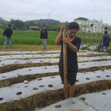 Galeri mempelai