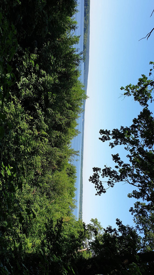 20190614 092613.jpg