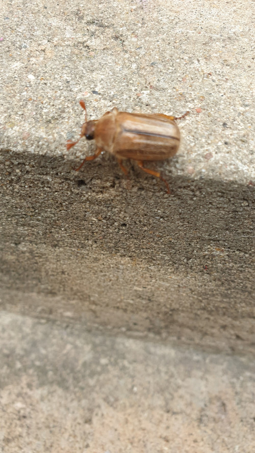 20190705 175222.jpg