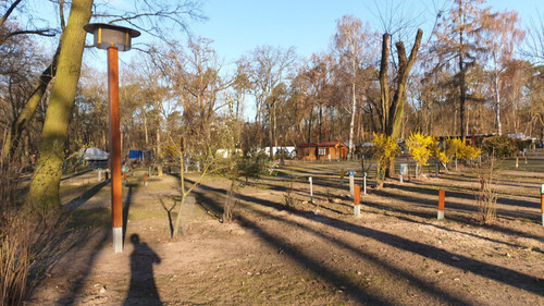 20200321 072435.jpg