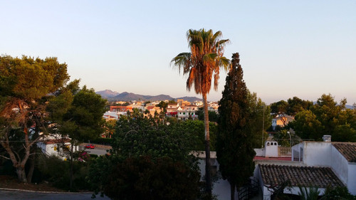 20140905 074137.jpg