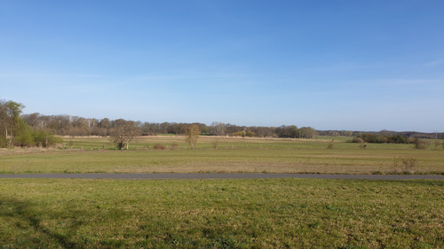 20200411 090447.jpg