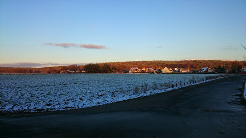 DSC 0196.jpg