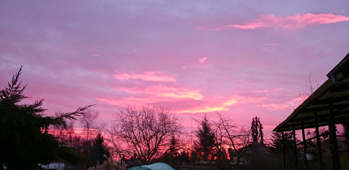DSC 0107~2.jpg