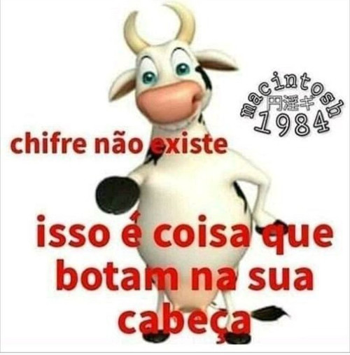 743003.jpg