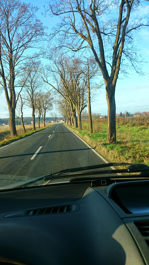[000146].jpg
