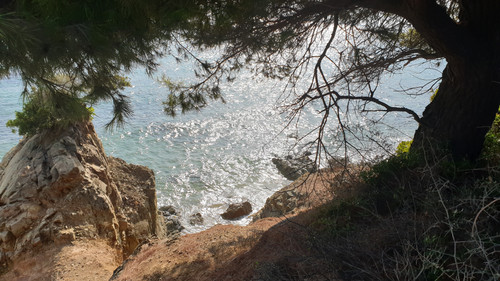 20201003 155312.jpg