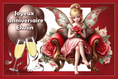 1778223274 obeline8o176346558711 gros.webp