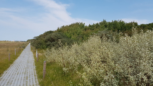 20180721 145743.jpg