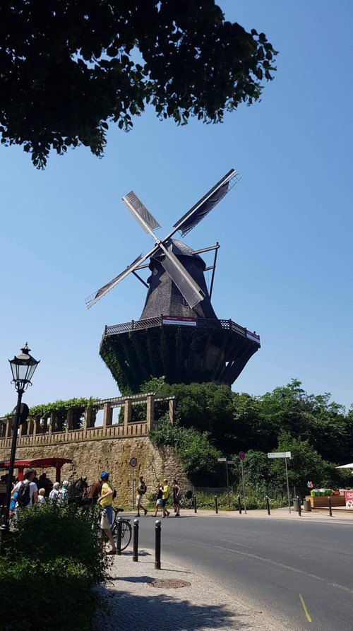 20180609 115654.jpg