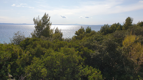 20201002 154320.jpg
